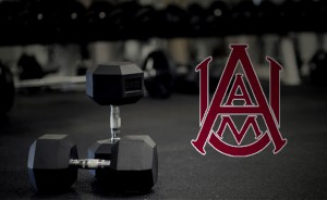 Alabama A&M expects to flex more muscle in 2017