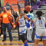 Dillard, XULA and Talladega women’s teams headed to NAIA Tourney from GCAC