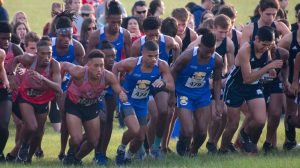 Albany State to cut men’s Cross Country and Golf programs