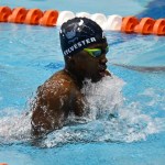 Howard swim and dive teams break four school records in one day