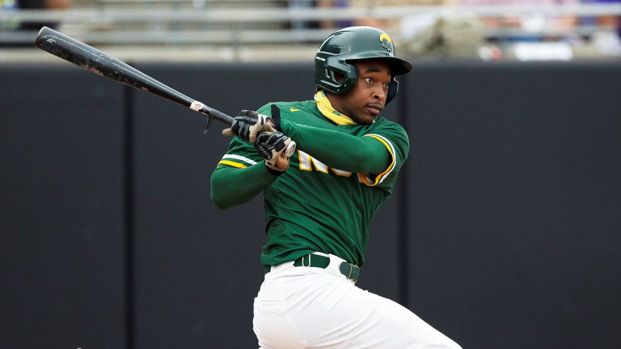 Norfolk State baseball