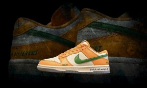 FAMU gets colorway with HBCU x Nike Dunk collaboration