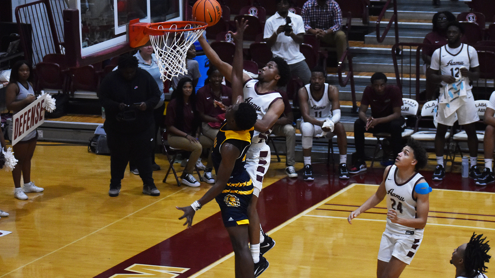 Bulldogs look to bounce back vs the Golden Lions on Thursday Night -  Alabama A&M Athletics