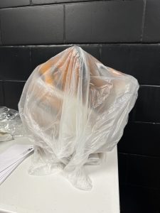 Lee Corso and the HBCU mascot head left on the table