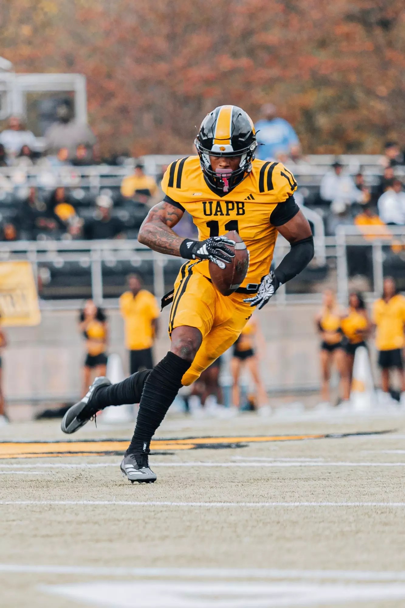 Javonnie Gibson, UAPB