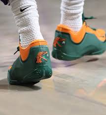 LeBron James FAMU Nike 23 PE
