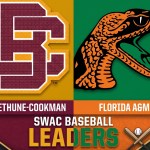 Bethune-Cookman and FAMU break away in SWAC baseball