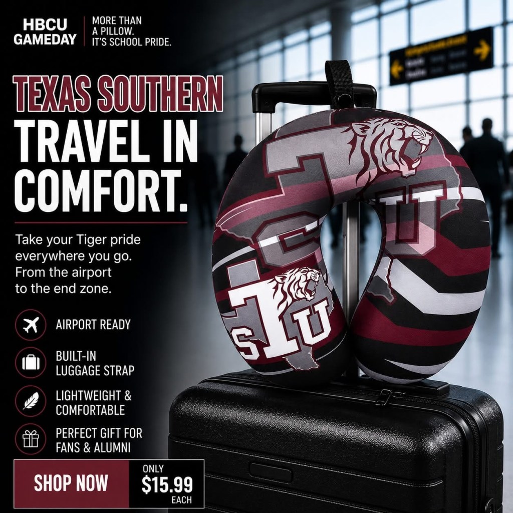 TexasSouthernPillow